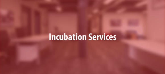 incubation services